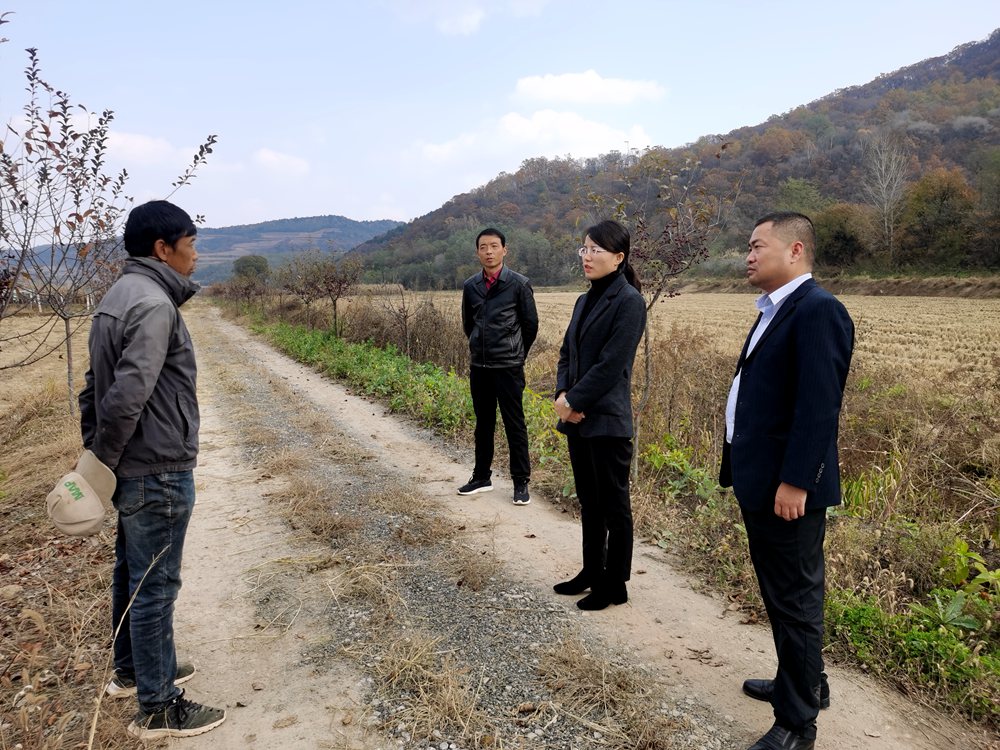 张雅茹到彭镇开展督导调研_宜君县人民政府